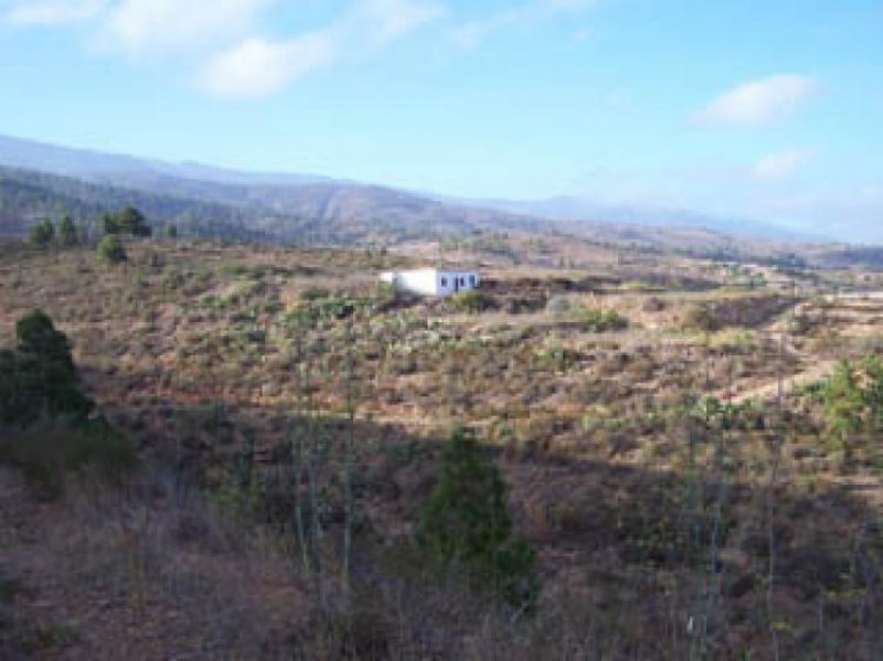 Foto Finca en Venta en Granadilla de Abona, Tenerife - € 252.000 - FIV1053 - BienesOnLine