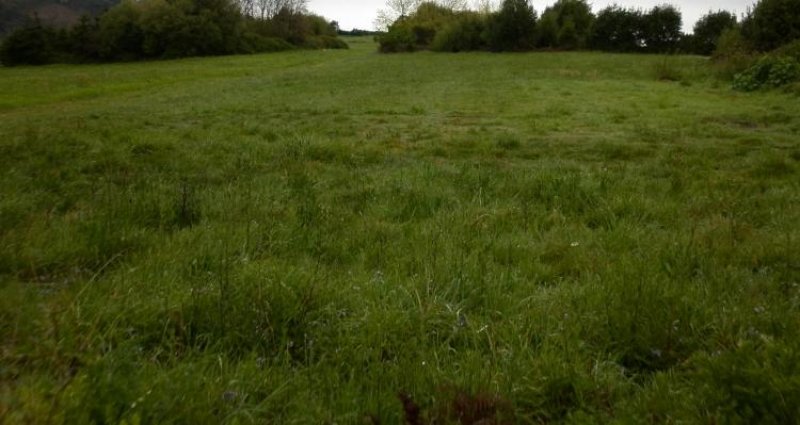 Foto Finca en Venta en Carreño, Asturias - € 27.000 - FIV4470 - BienesOnLine