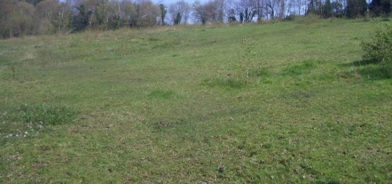 Foto Finca en Venta en Castrillón, Asturias - € 89.000 - FIV4349 - BienesOnLine
