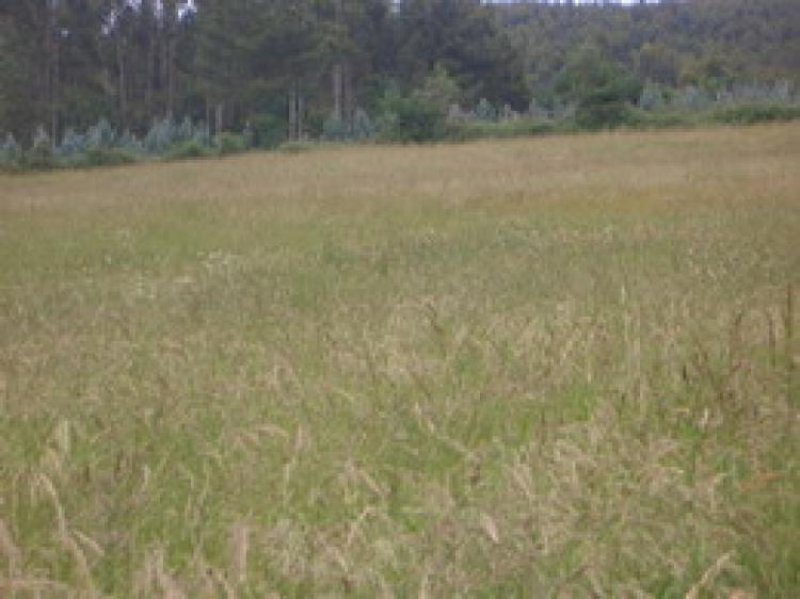 Foto Finca en Venta en Gozón, Asturias - € 150.000 - FIV4317 - BienesOnLine