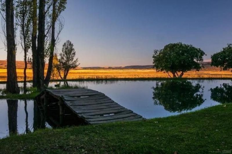 Finca en Venta en  Marbella, Malaga