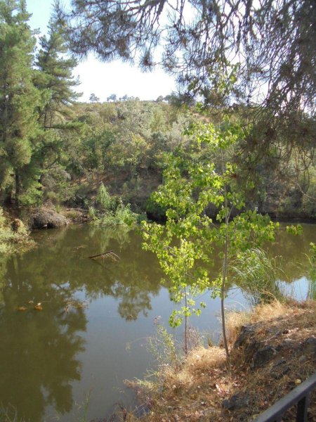 Finca en Venta en  Ciudad Real, Ciudad Real