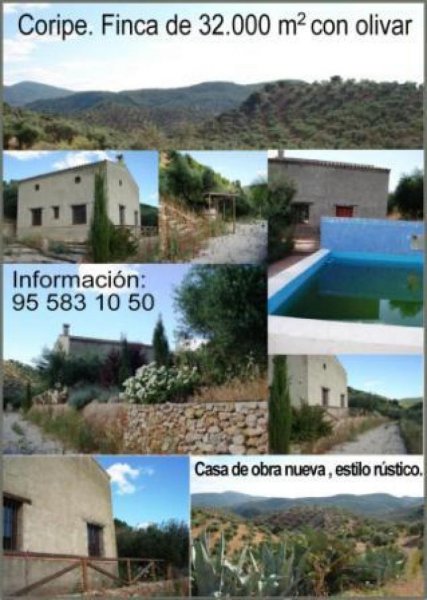 Foto Finca en Venta en Vía Verde de la Sierra, Coripe, Sevilla - € 200.000 - FIV2899 - BienesOnLine