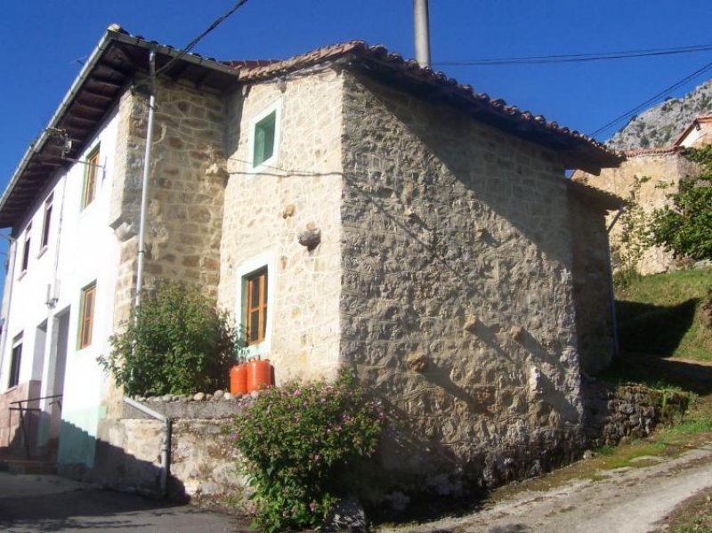 Foto Casa en Venta en Peñamellera Alta, Asturias - € 70.000 - CAV3195 - BienesOnLine