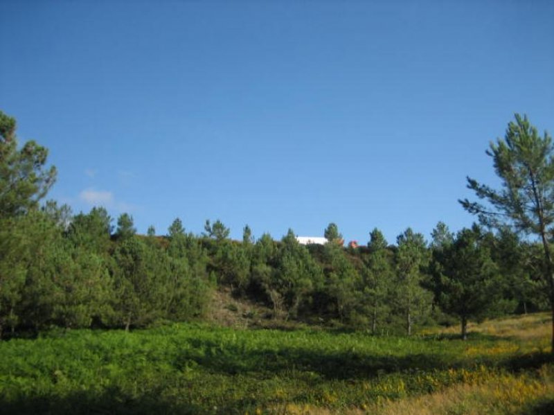 Foto Solar en Venta en Devesa, Achas, A Cañiza, Pontevedra - € 216.000 - SOV1331 - BienesOnLine