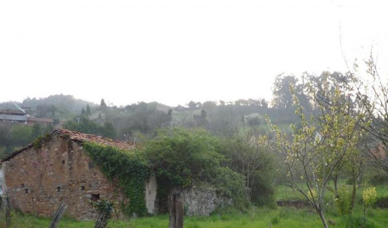 Foto Casa en Venta en Castrillón, Asturias - € 94.000 - CAV4344 - BienesOnLine