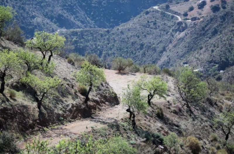 Finca en Venta en Paraje el Burro/ buenaventura Casabermeja, Malaga