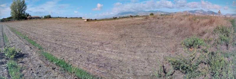 Solar en Venta en  Pinos Puente, Granada